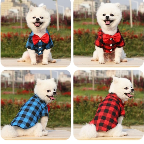 The dapper dog plaid outfit x 4 - Picture 6 of 7